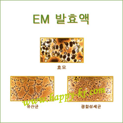 EM(이엠)발효원액